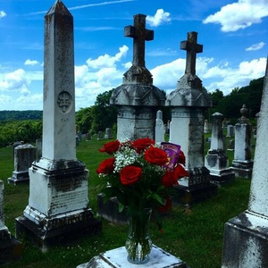 玄兵大战倾辛全集免费观看
